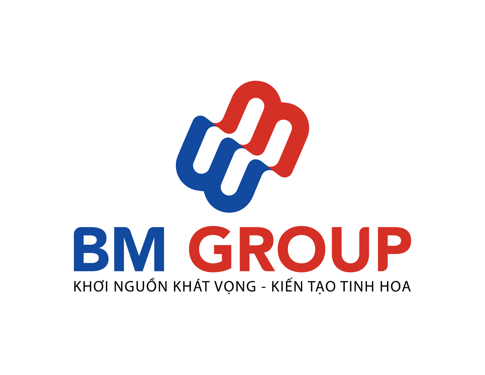 TÁI CẤU TRÚC TOÀN DIỆN. CHUYỂN SANG BM GROUP